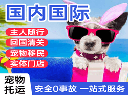 舟山空运公司国际宠物托运 【国